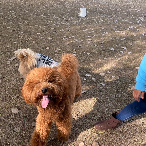 Meet your Posher, - Picture 11 of 13